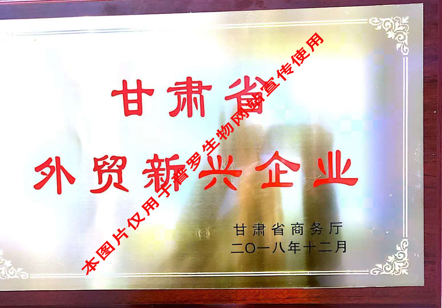 外貿新興企業